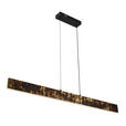 LED-HÄNGELEUCHTE Oxira 110/7/120 cm  - Multicolor/Schwarz, Design, Kunststoff/Metall (110/7/120cm) - Dieter Knoll