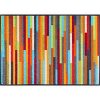 FUßMATTE  40/60 cm  Multicolor  - Multicolor, Trend, Kunststoff/Textil (40/60cm) - wash+dry