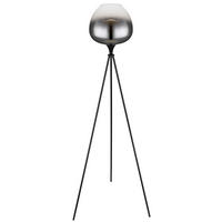STOJEČA SVETILKA  Maxy      65/145 cm       - črna, Design, kovina/steklo (65/145cm) - Globo