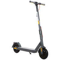 E-SCOOTER SHELL RIDE SR-5S CE  - Grau, KONVENTIONELL, Kunststoff/Metall (116/43/115cm)