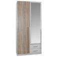 DREHTÜRENSCHRANK 90/198/56 cm 2-türig  - Eichefarben/Alufarben, Design, Glas/Holzwerkstoff (90/198/56cm) - Carryhome