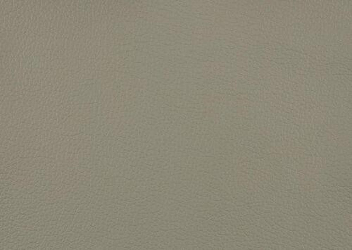 ECKSOFA in Echtleder Hellgrau  211/309 cm  - Hellgrau, Basics, Leder/Metall (211/309cm) - Beldomo Speed