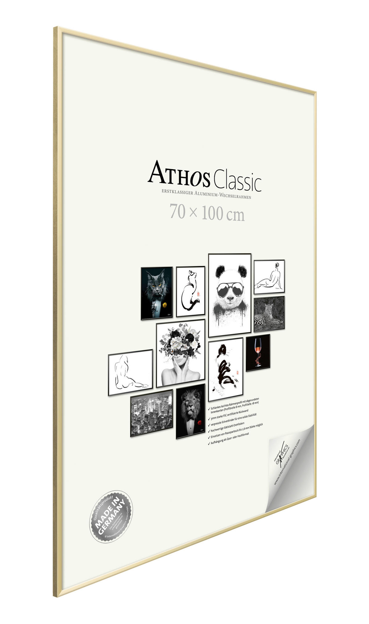 BILDERRAHMEN - Goldfarben, Basics, Papier/Holzwerkstoff (70/100/1,8cm)