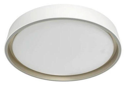 LED PLAFONJERA LEAH  - bela, Osnovno, plastika (40/8cm)