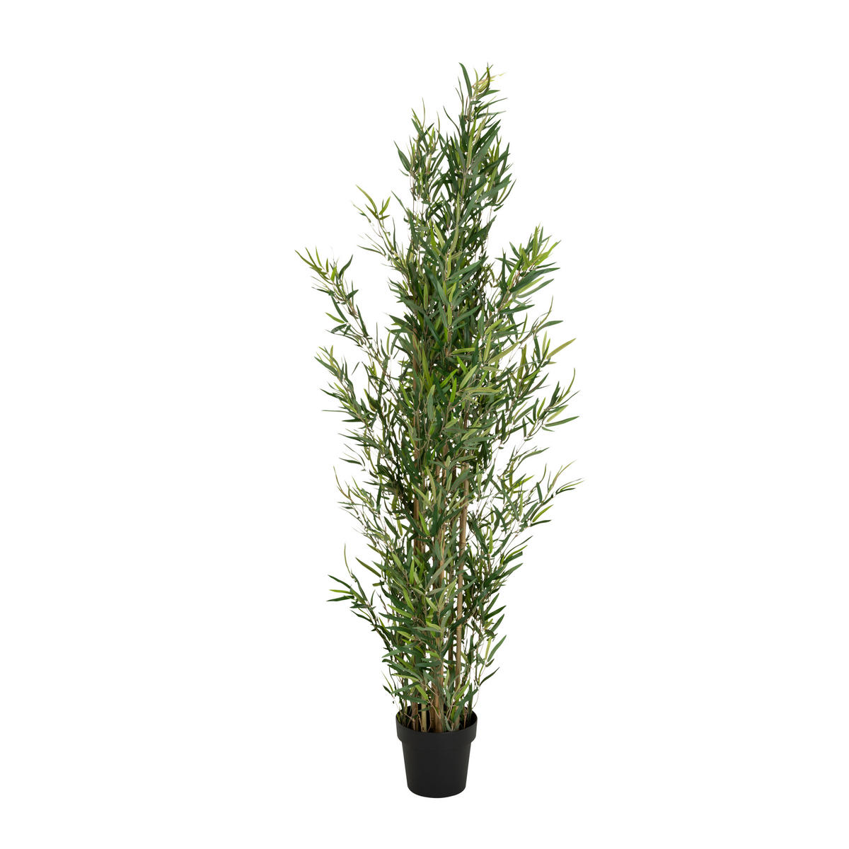 BAMBU bambu  - grön/svart, Basics, textil/plast (70/165/70cm) - MID.YOU