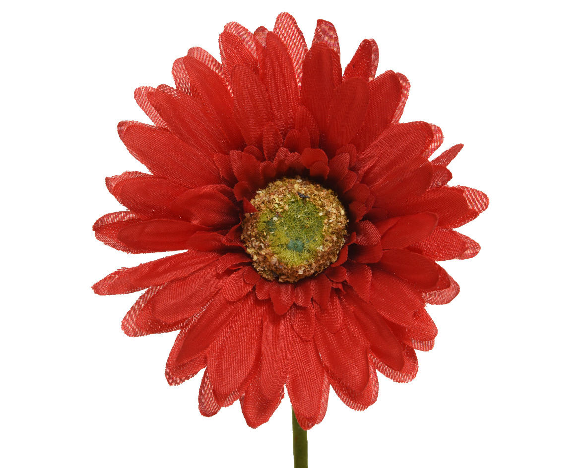 GERBERA - Basics (50cm)