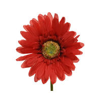 GERBERA - Basics (50cm)