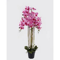 MŰNÖVÉNY - pink/zöld, Basics, műanyag