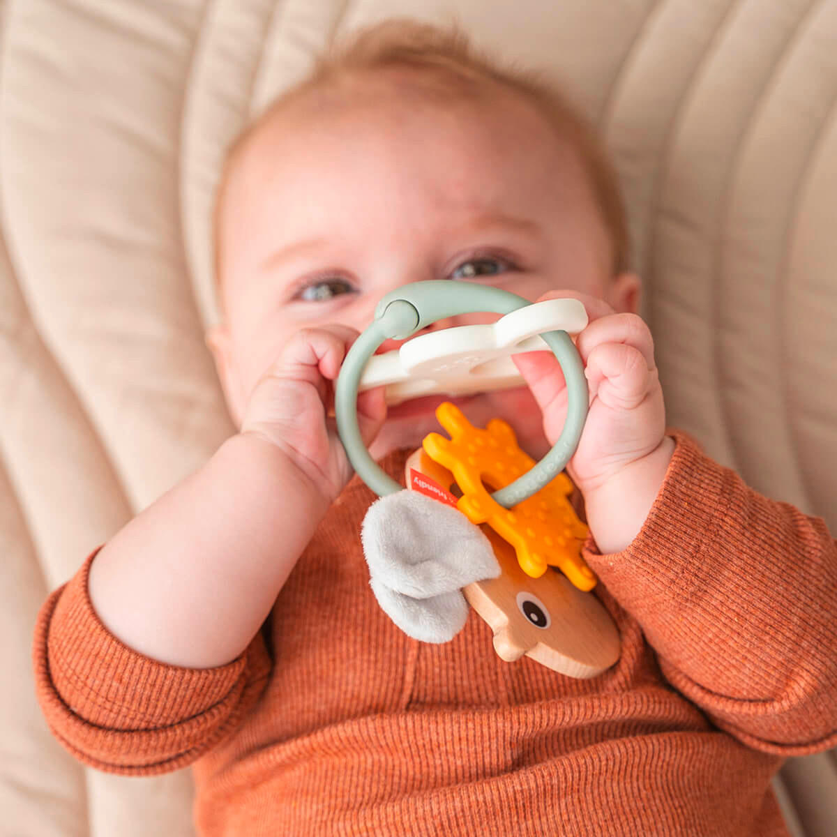 GREIFLING  - Eschefarben, Basics, Holz/Kunststoff (15/10/7,5cm)