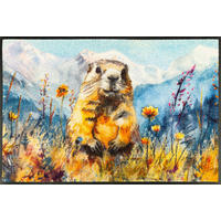 Covoraș De Intrare 50/75 cm  - multicolor, Basics, plastic/textil (50/75cm) - wash+dry