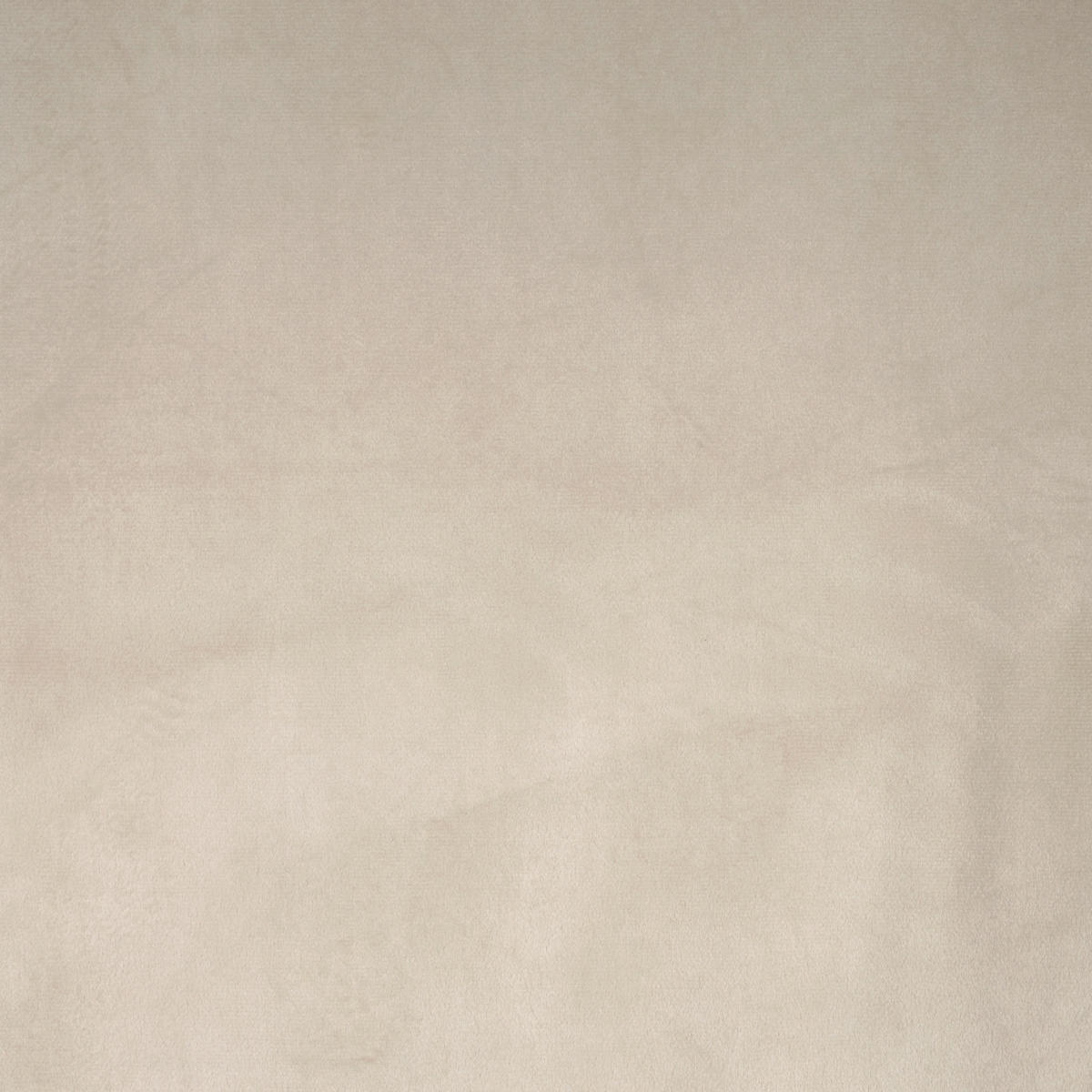 FERTIGVORHANG  blickdicht   135/245 cm  - Taupe, Basics, Textil (135/245cm) - Esposa