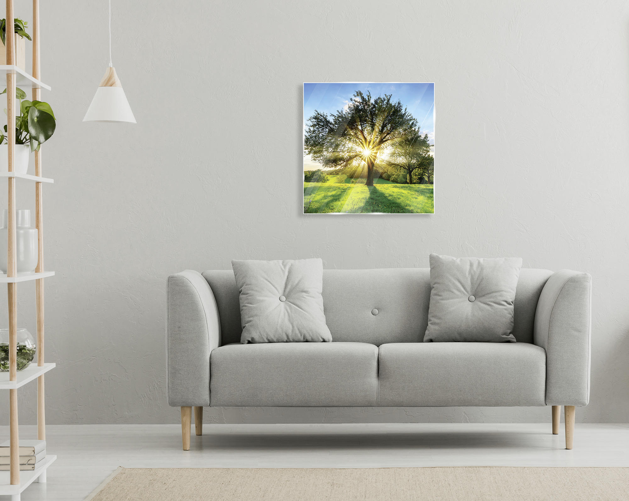 GLASBILD Bäume  - Multicolor, Natur, Glas (50/50cm) - Euroart