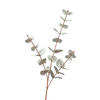 EUKALYPTUS ZWEIG Eukalyptus  - Weiß, Basics, Kunststoff (68cm)