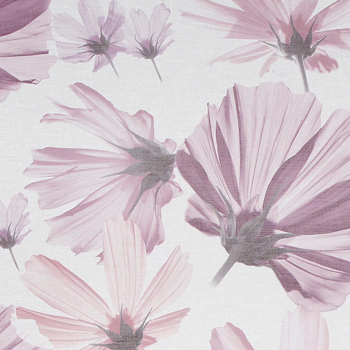 FLÄCHENVORHANG   halbtransparent  60/245 cm   - Flieder, Basics, Textil (60/245cm) - Ambiente