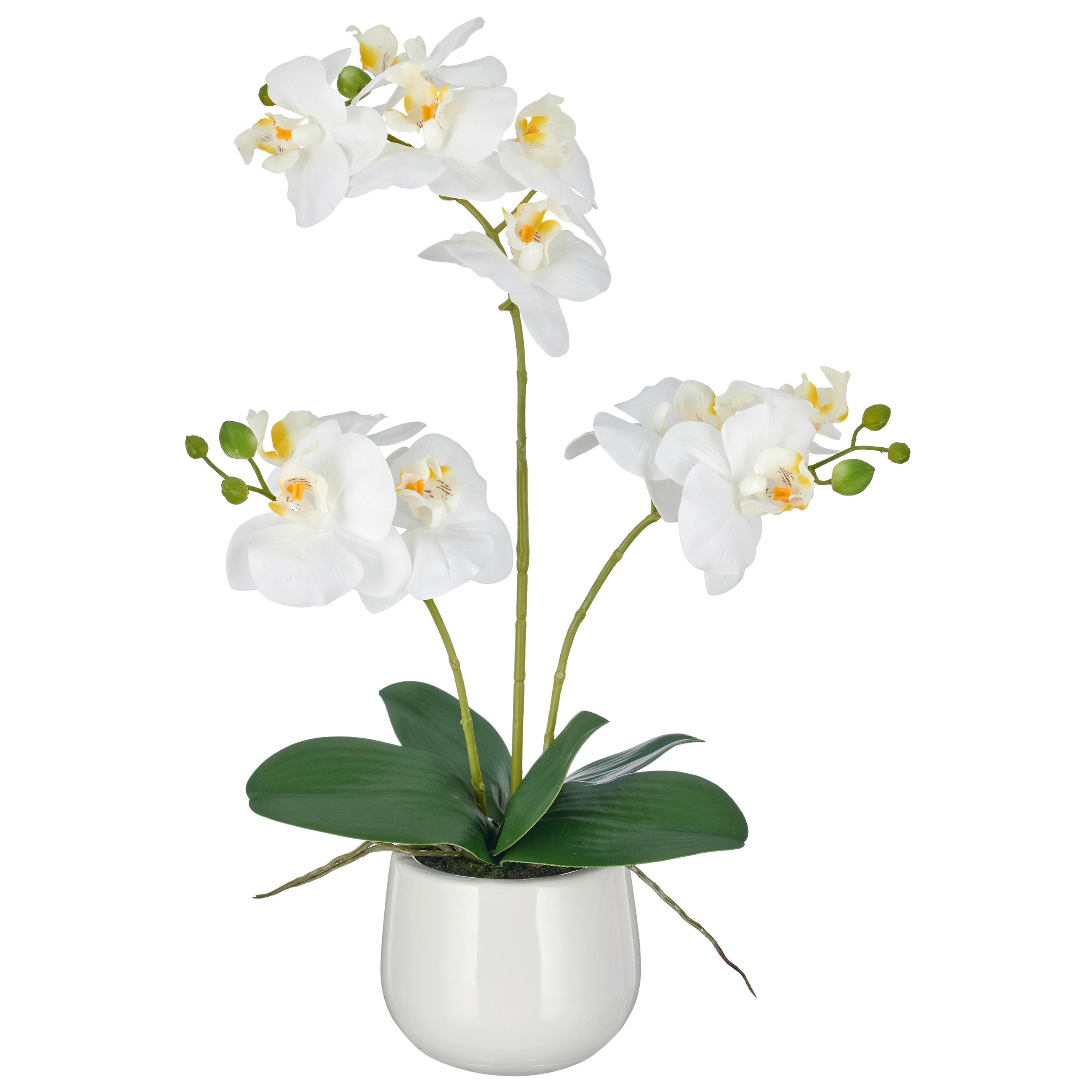 KUNSTBLUME - Weiß/Grün, Basics, Keramik/Kunststoff (48cm)