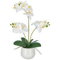 KUNSTBLUME - Weiß/Grün, Basics, Keramik/Kunststoff (48cm)