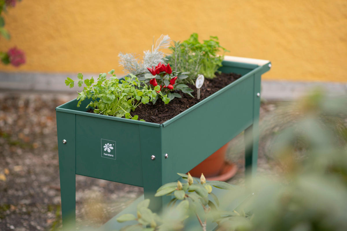 HOCHBEET 35/80/75 cm  - Olivgrün, Basics, Metall (35/80/75cm)