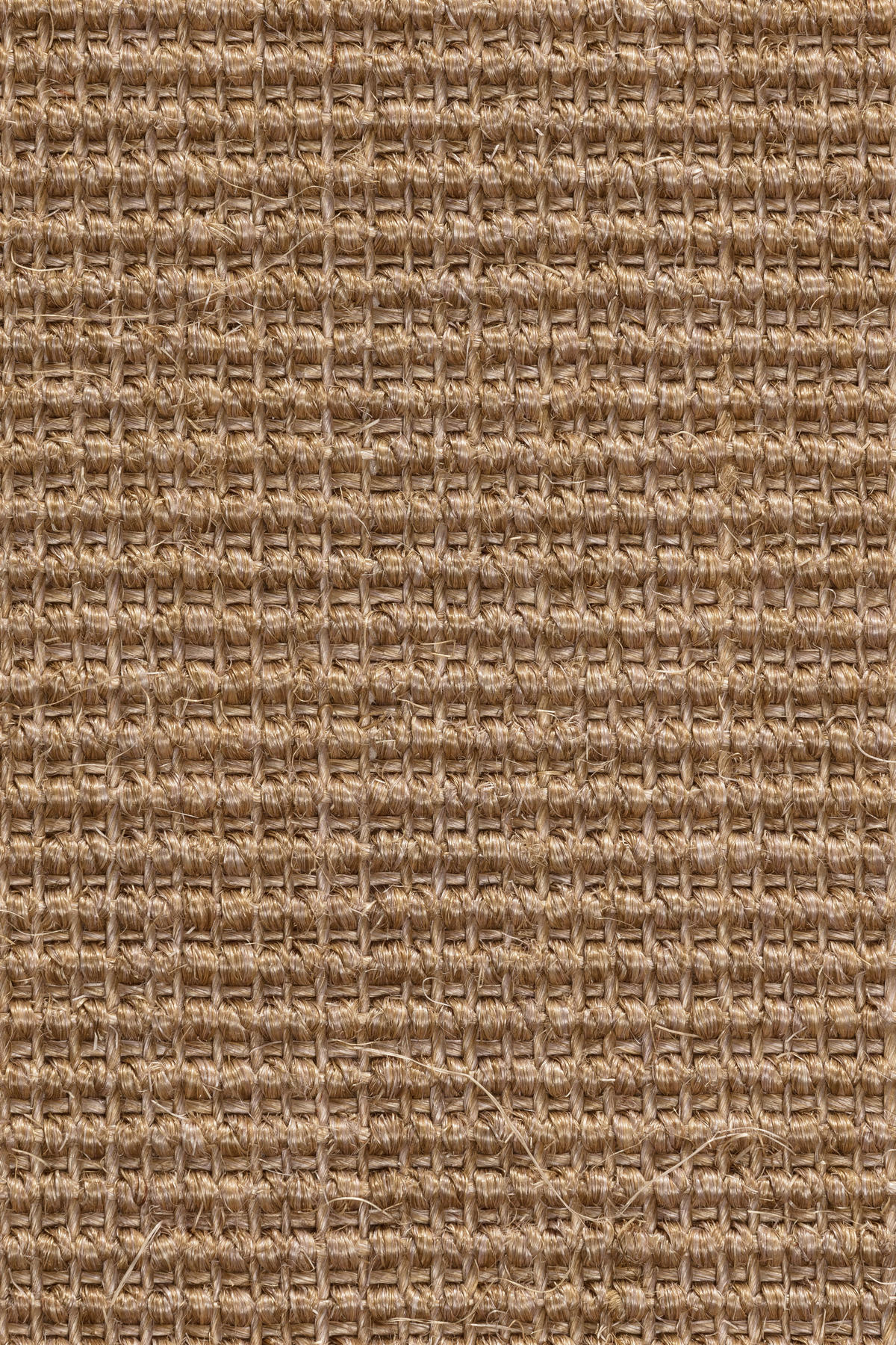 TEPIH  krem, bež     - bež/krem, Osnovno, tekstil/plastika (165/235cm)