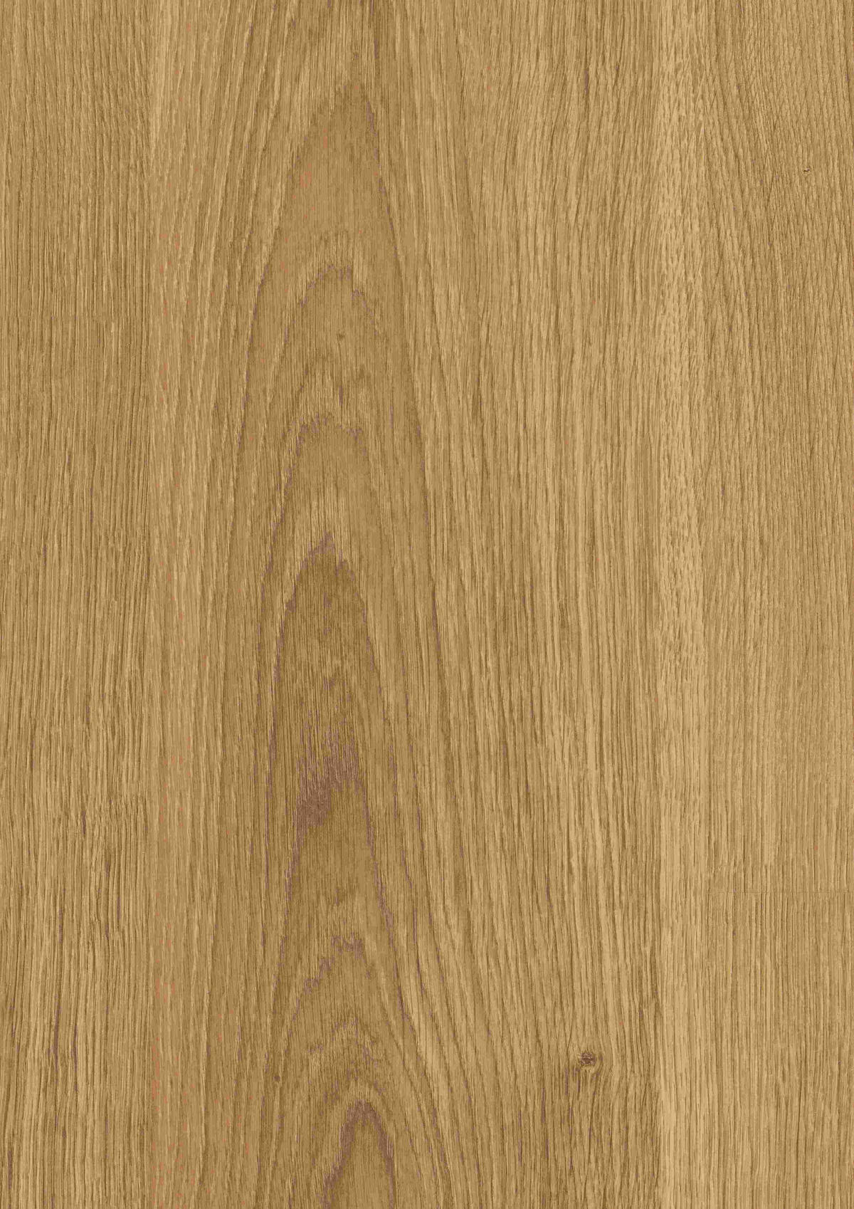 LAMINATBODEN Nord Eiche natur  per  m² - Eichefarben, KONVENTIONELL, Holzwerkstoff (129.2/19.3/0.7cm) - Venda