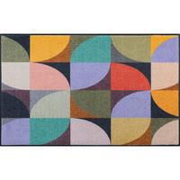 FUßMATTE  75/120 cm  Multicolor  - Multicolor, KONVENTIONELL, Kunststoff/Textil (75/120cm) - wash+dry