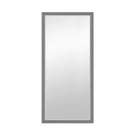 WANDSPIEGEL 100/200/1,8 cm    in rechteckig  - Anthrazit, MODERN, Glas/Holzwerkstoff (100/200/1,8cm) - Milino