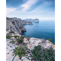 NON WOVEN-TAPET 200/250 cm  - Natur (200/250cm)