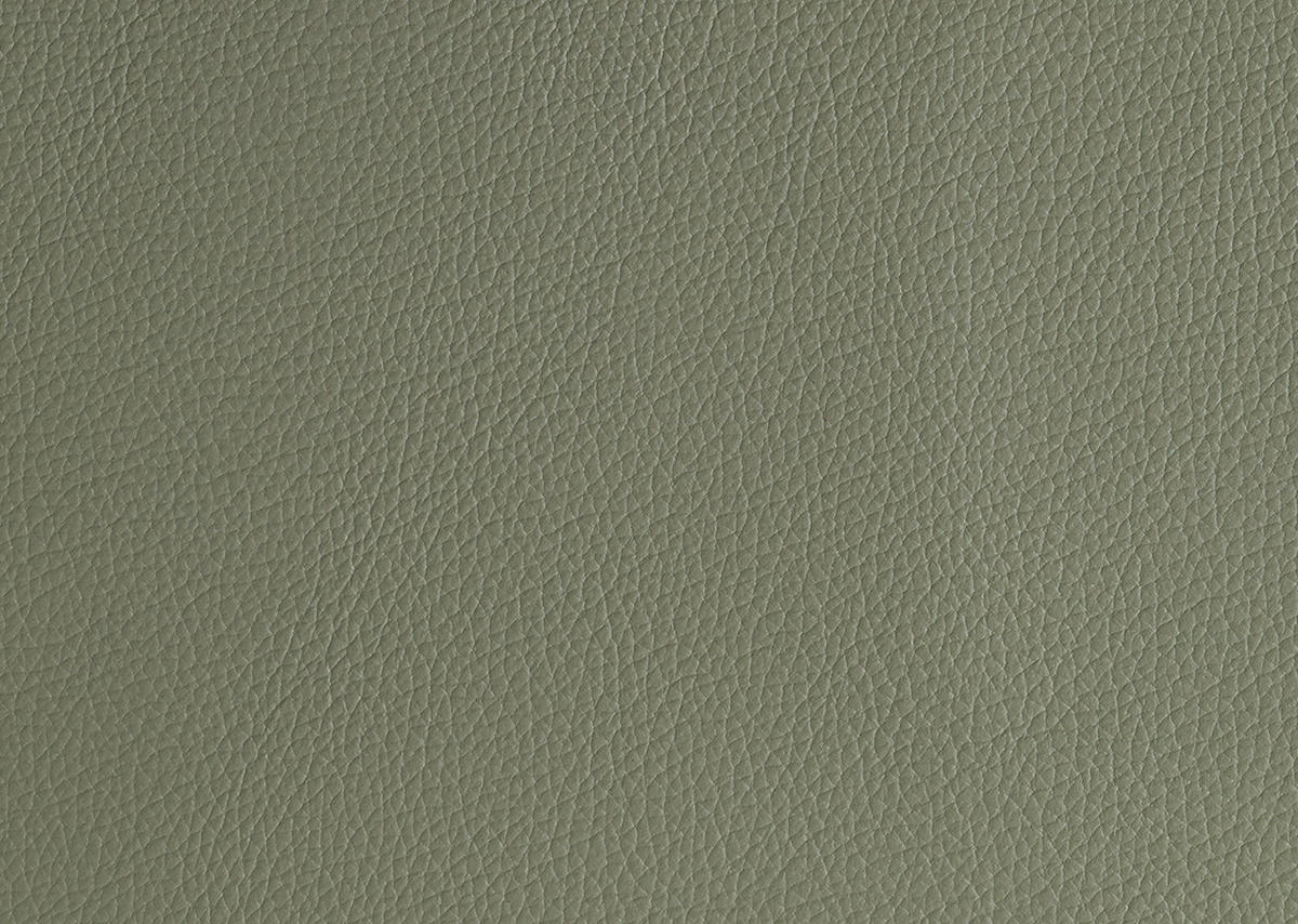 RELAXSESSEL in Leder Grün  - Edelstahlfarben/Grün, Konventionell, Leder/Metall (78/110/81cm) - Cantus