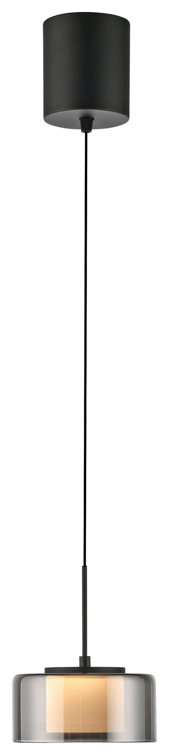 ZÁVĚSNÉ LED SVÍTIDLO, 15/220 cm  - černá, Design, kov/plast (15/220cm)