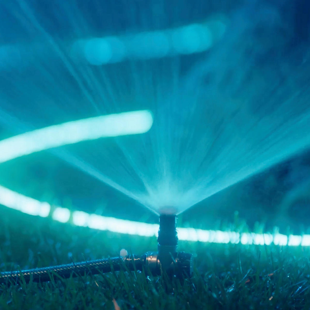 LED-STRIP 1,1/2,1/500 cm   - Weiß, KONVENTIONELL, Kunststoff (1,1/2,1/500cm) - Philips HUE