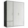 DREHTÜRENSCHRANK in Grau, Weiss  - Weiss/Alufarben, Konventionell, Holzwerkstoff/Kunststoff (155/195/60cm) - Carryhome