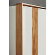 DREHTÜRENSCHRANK 301,9/223,3/62 cm 6-türig Weiß, Wildeiche  - Wildeiche/Schwarz, Design, Holz/Holzwerkstoff (301,9/223,3/62cm) - Dieter Knoll