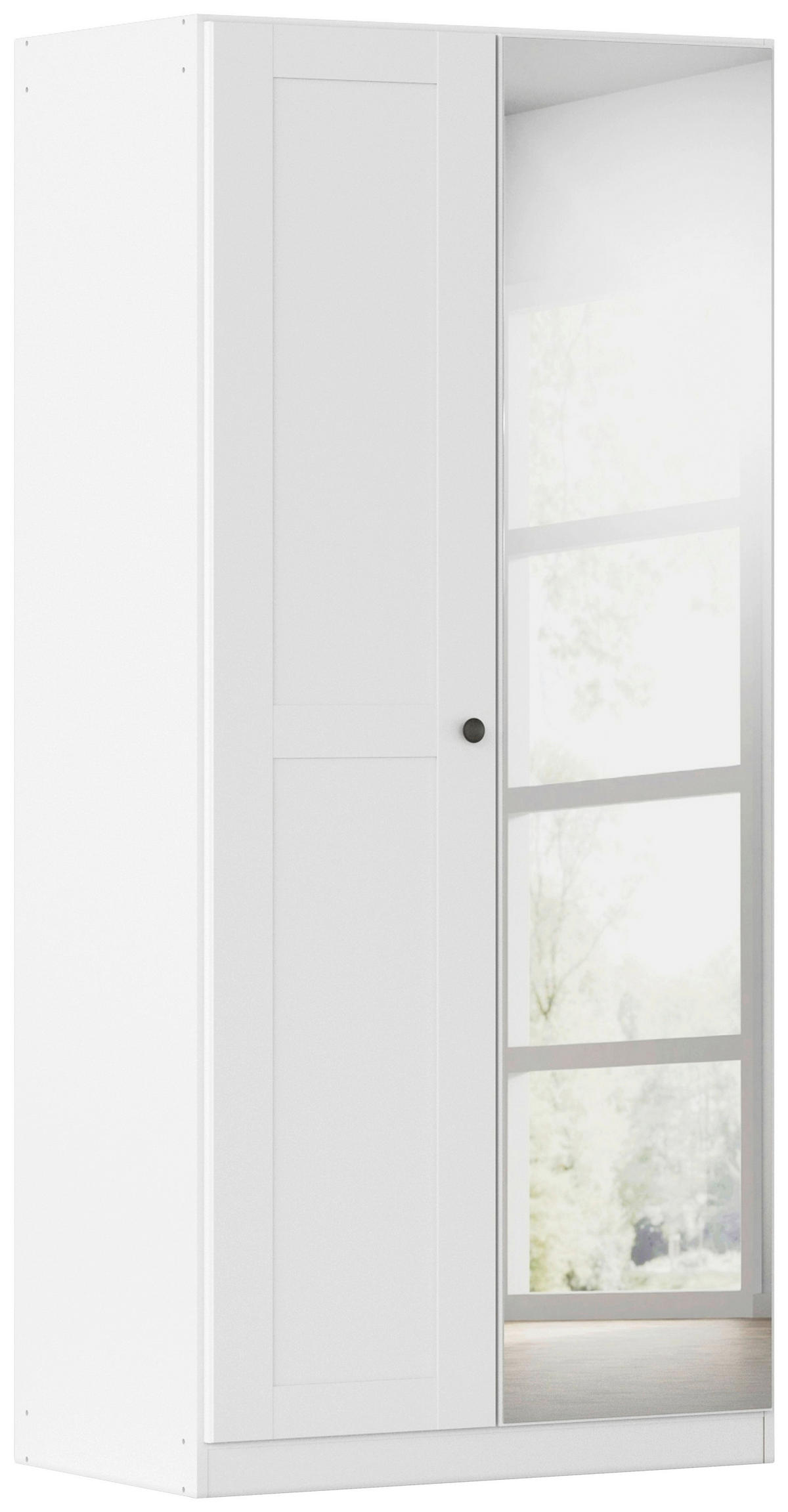 DREHTÜRENSCHRANK 91/197/54 cm,  in Weiß, 2-türig  - Schwarz/Weiß, KONVENTIONELL, Glas/Holzwerkstoff (91/197/54cm) - home24