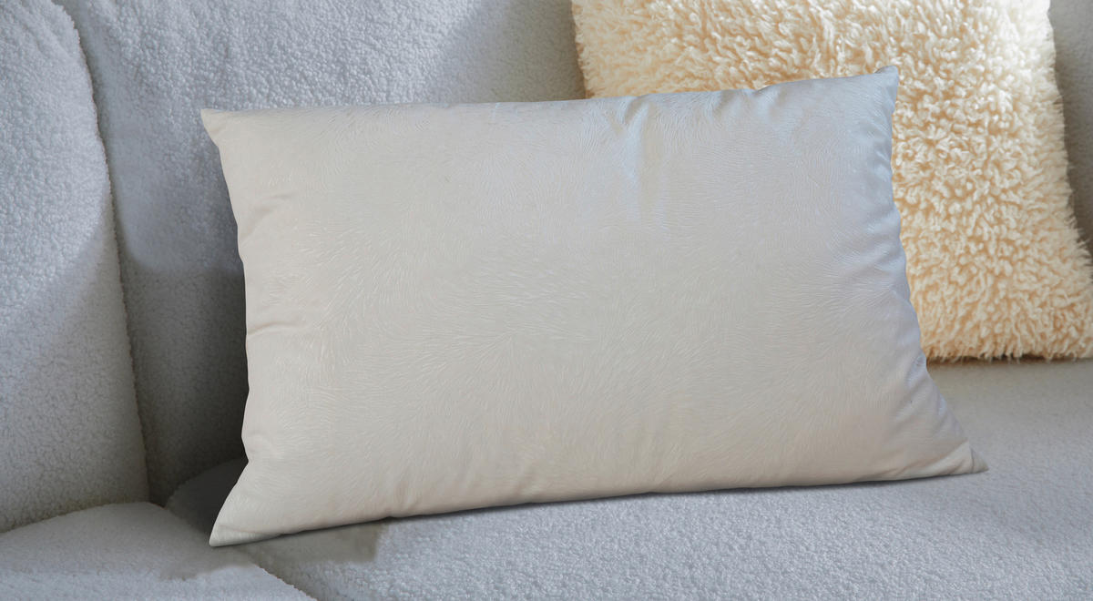 UKRASNI JASTUK   DAYARA  - bela, Osnovno, tekstil (40/60cm) - Esposa
