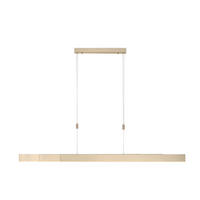 LAMPĂ SUSPENDATĂ CU LED 110-200/5,5/110-200 cm  - Design, plastic/metal (110-200/5,5/110-200cm)