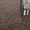 HOCHFLORTEPPICH 80 cm Life 1500  - Taupe, KONVENTIONELL, Textil (80cm) - Novel