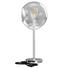 LAMPA STOLNÍ - čiré/barvy chromu, Design, kov/sklo (24cm) - Dieter Knoll LAMPA STOLNÍ - čiré/barvy chromu, Design, kov/sklo (24cm) - Dieter Knoll