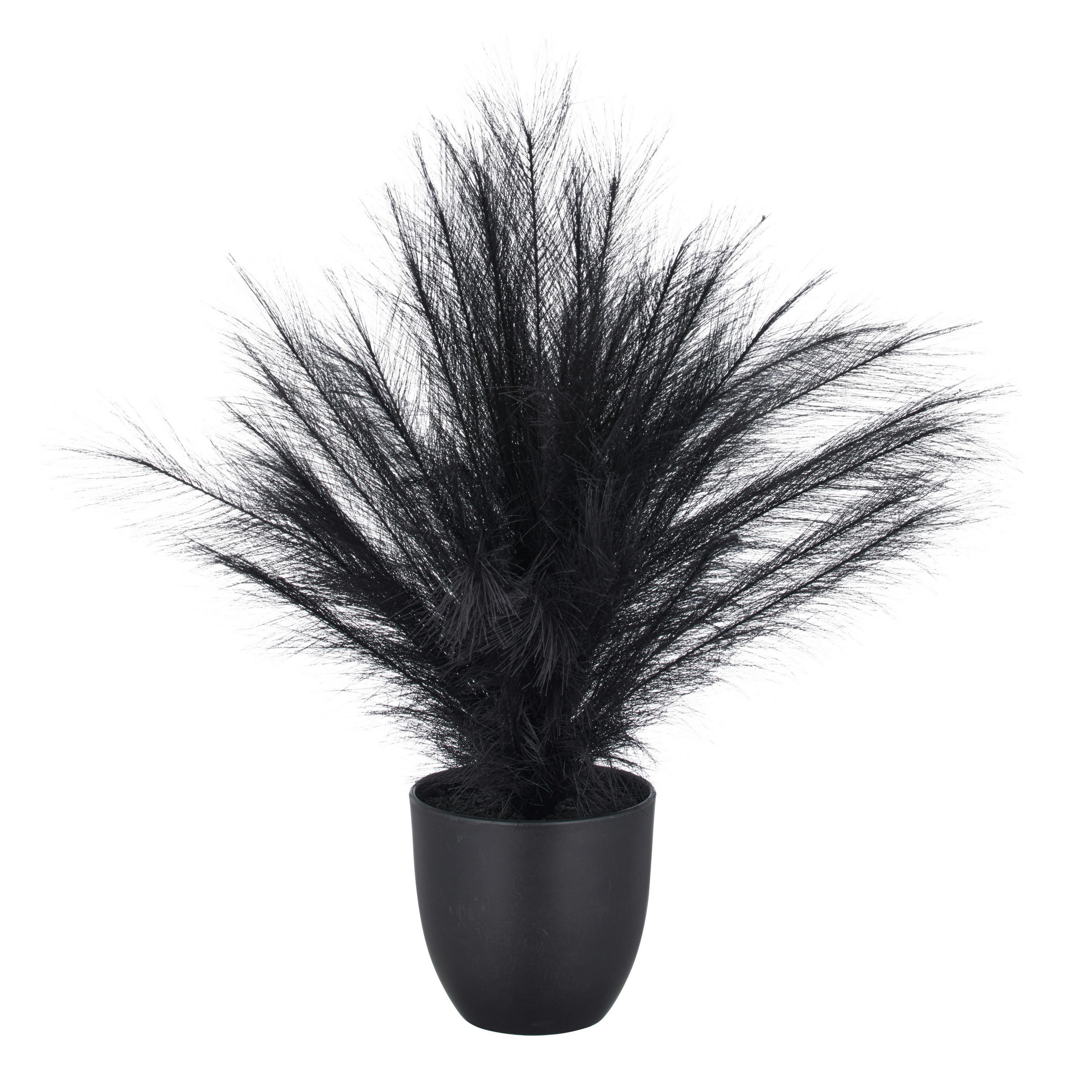 KUNSTPFLANZE 63 cm  - Schwarz, Basics, Kunststoff (63cm) - Ambia Home