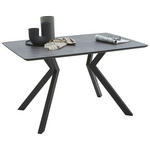ESSTISCH 130/90/76 cm  Metall, Kunststoff rechteckig Grau, Schwarz  - Schwarz/Grau, Design, Kunststoff/Metall (130/90/76cm) - Dieter Knoll