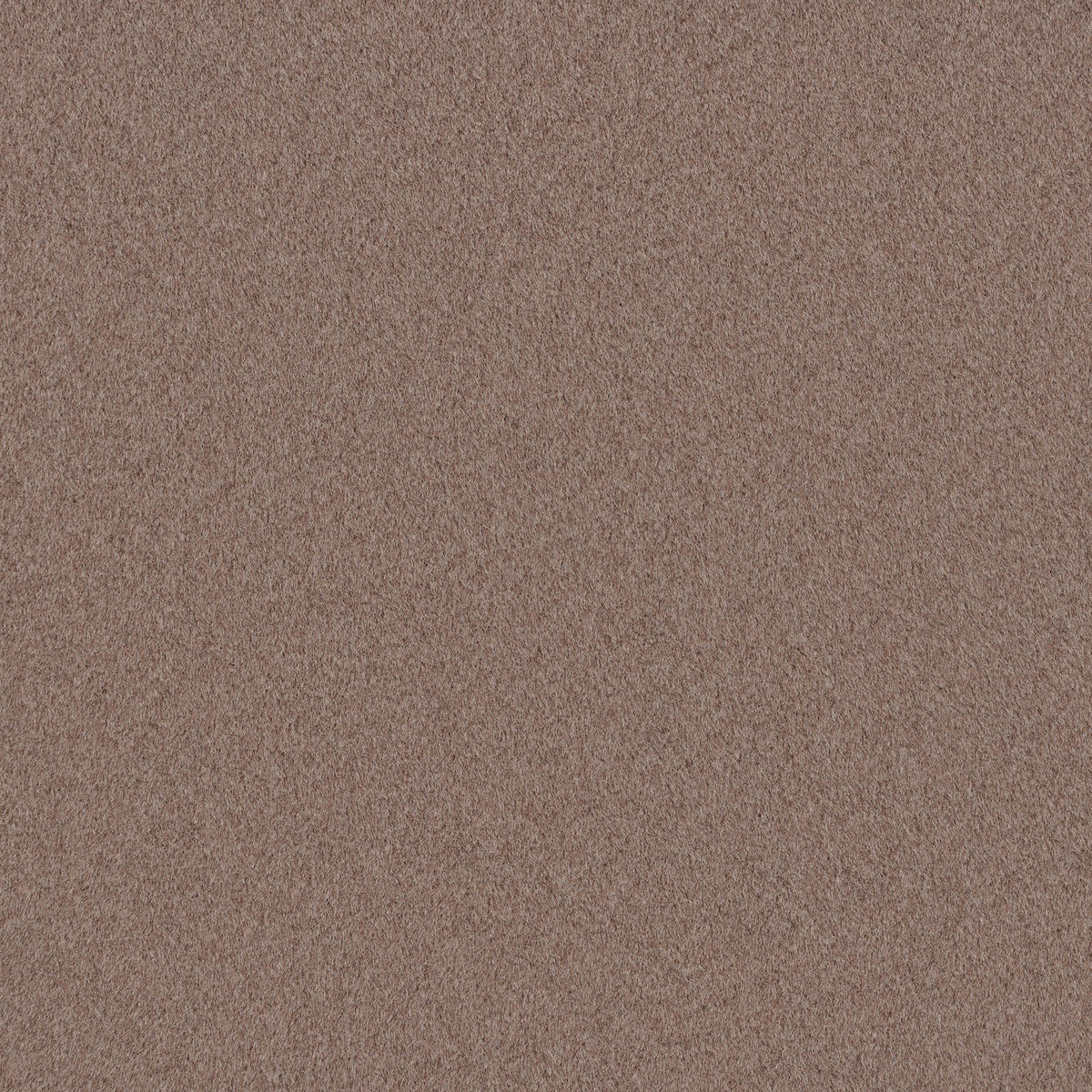 POLSTERBETT 160/200 cm,  in Braun,  - Schwarz/Braun, Design, Textil/Metall (160/200cm) - Belluti