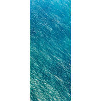 NON WOVEN-TAPET 100/250 cm  - turkos/blå, Basics (100/250cm) - Komar
