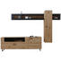WOHNWAND in Anthrazit, Eichefarben, Bronzefarben - Eichefarben/Anthrazit, Natur, Glas/Holz (318/223/49cm) - Valnatura WOHNWAND in Anthrazit, Eichefarben, Bronzefarben - Eichefarben/Anthrazit, Natur, Glas/Holz (318/223/49cm) - Valnatura
