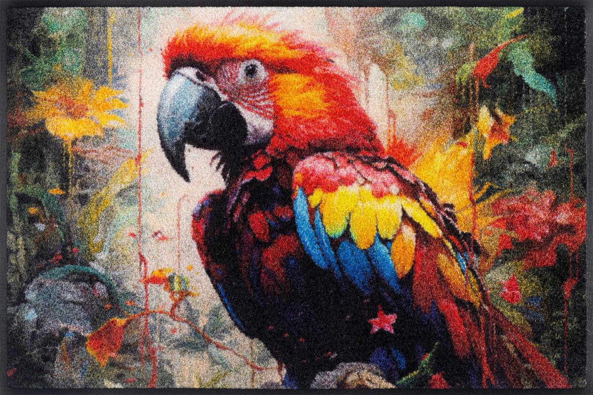 FUßMATTE 50/75 cm Parry McParrot  - Multicolor, Trend, Kunststoff/Textil (50/75cm) - wash+dry