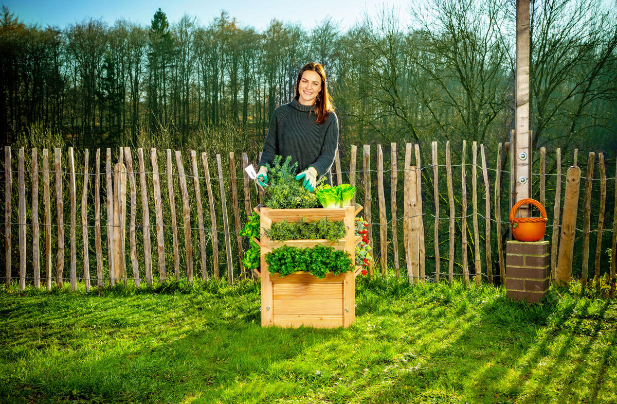 VYVÝŠENÝ ZÁHON   - farba smrekovca, Basics, drevo (65/73/65cm)