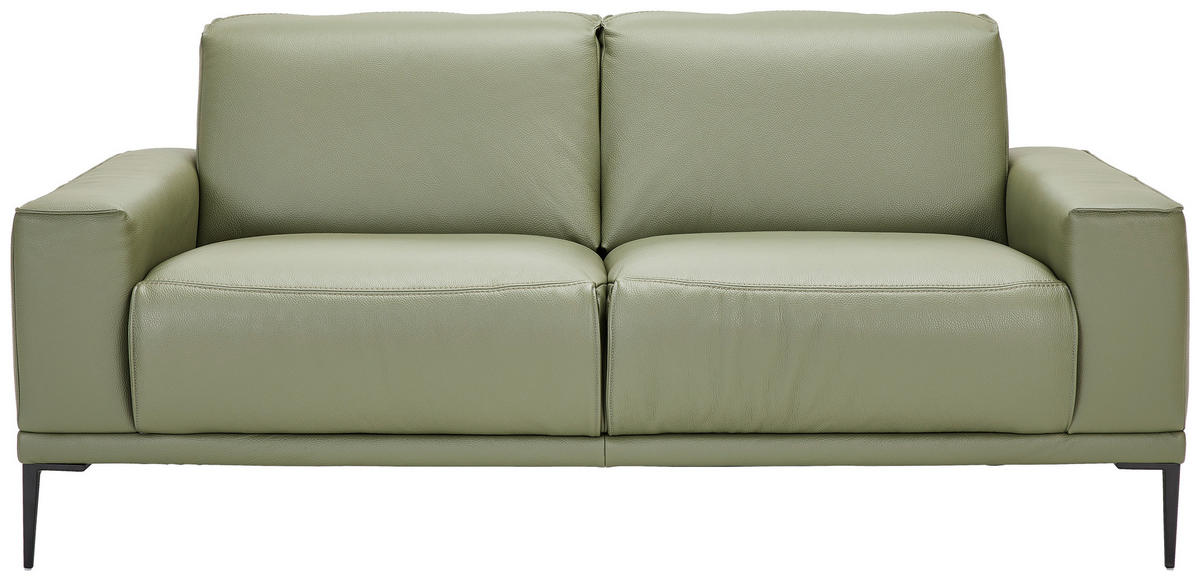 2-SITZER-SOFA  in Echtleder Olivgrün   - Schwarz/Olivgrün, Design, Leder/Metall (180/82/92cm) - Johann Jakob