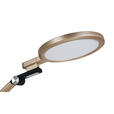 LED-SCHREIBTISCHLEUCHTE 98/20/22,5 cm  - Champagner/Schwarz, Design, Kunststoff/Metall (98/20/22,5cm) - Novel