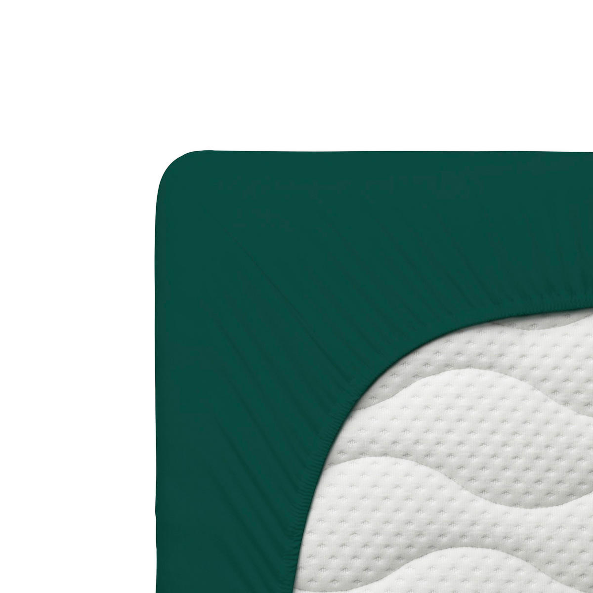 PLAHTA S GUMICOM 140-160/200-220 cm  PURE  - tamno zelena, Basics, tekstil (140-160/200-220cm) - Schlafgut