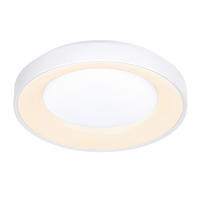 STROPNA LED-SVETILKA   40 W 4300 lm 2700-6500 K 220-240 V  - bela, Basics, kovina/umetna masa (50/8,5cm) - Novel