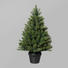 WEIHNACHTSBAUM 90 cm - Grün, Kunststoff (90cm) WEIHNACHTSBAUM 90 cm - Grün, Kunststoff (90cm)