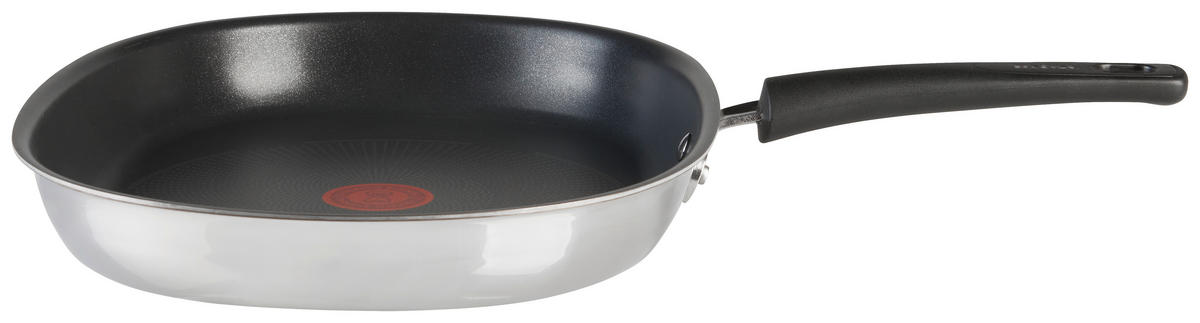 FISCHPFANNE Emotion  - Edelstahlfarben, Basics, Metall (46,8/37,5/6,5cm) - Tefal