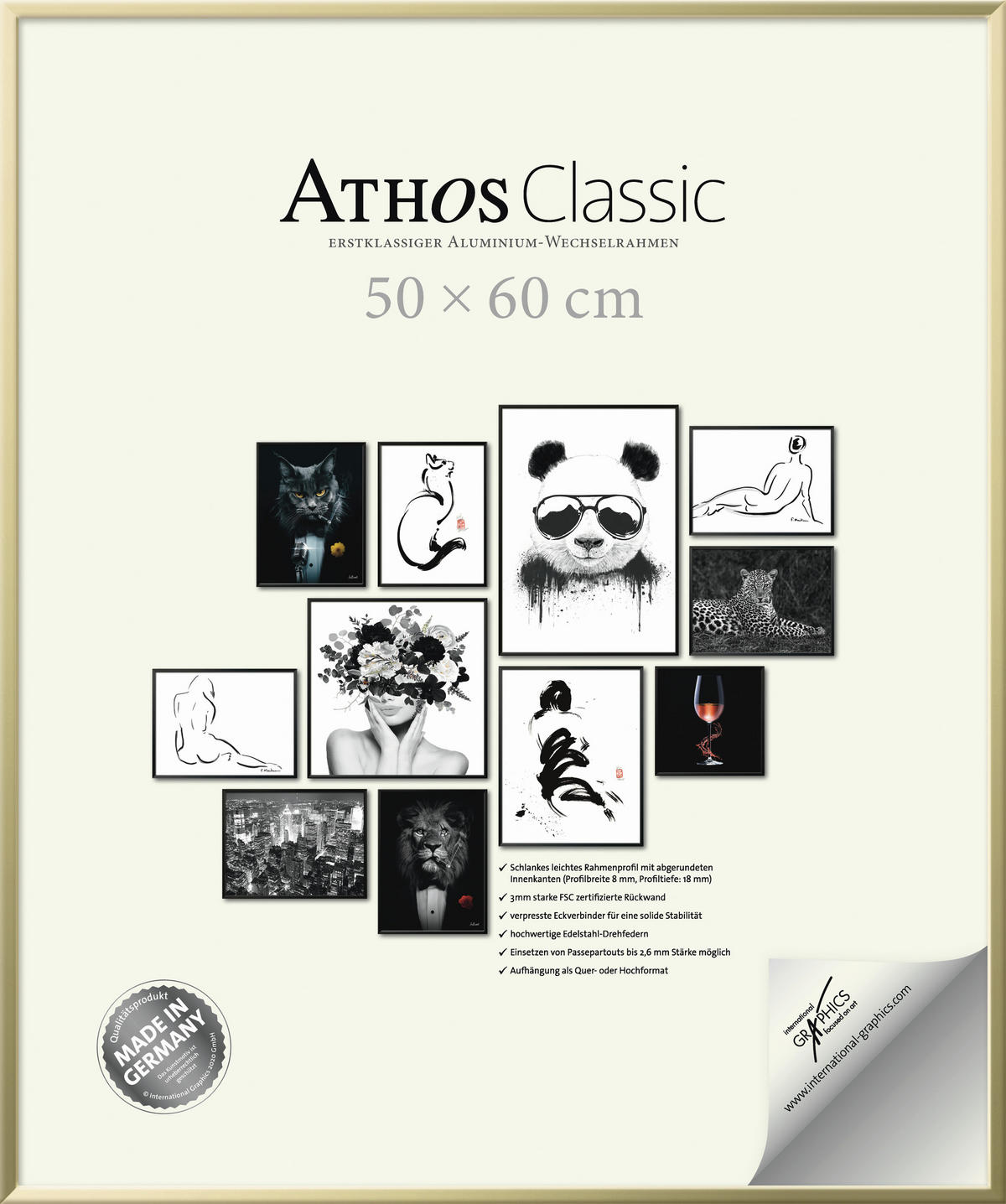 BILDERRAHMEN - Goldfarben, Basics, Papier/Holzwerkstoff (50/60/1,8cm)